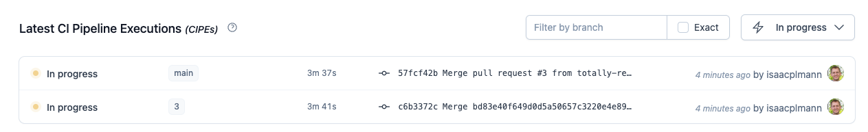 CI Pipeline Executiosn